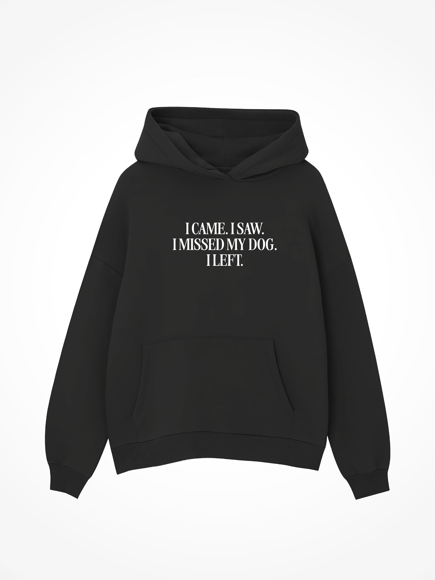 I Came I Saw I Missed My Dog - Hoodie