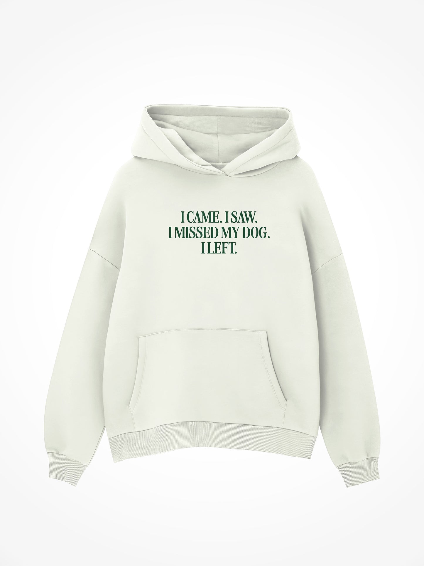 I Came I Saw I Missed My Dog - Hoodie