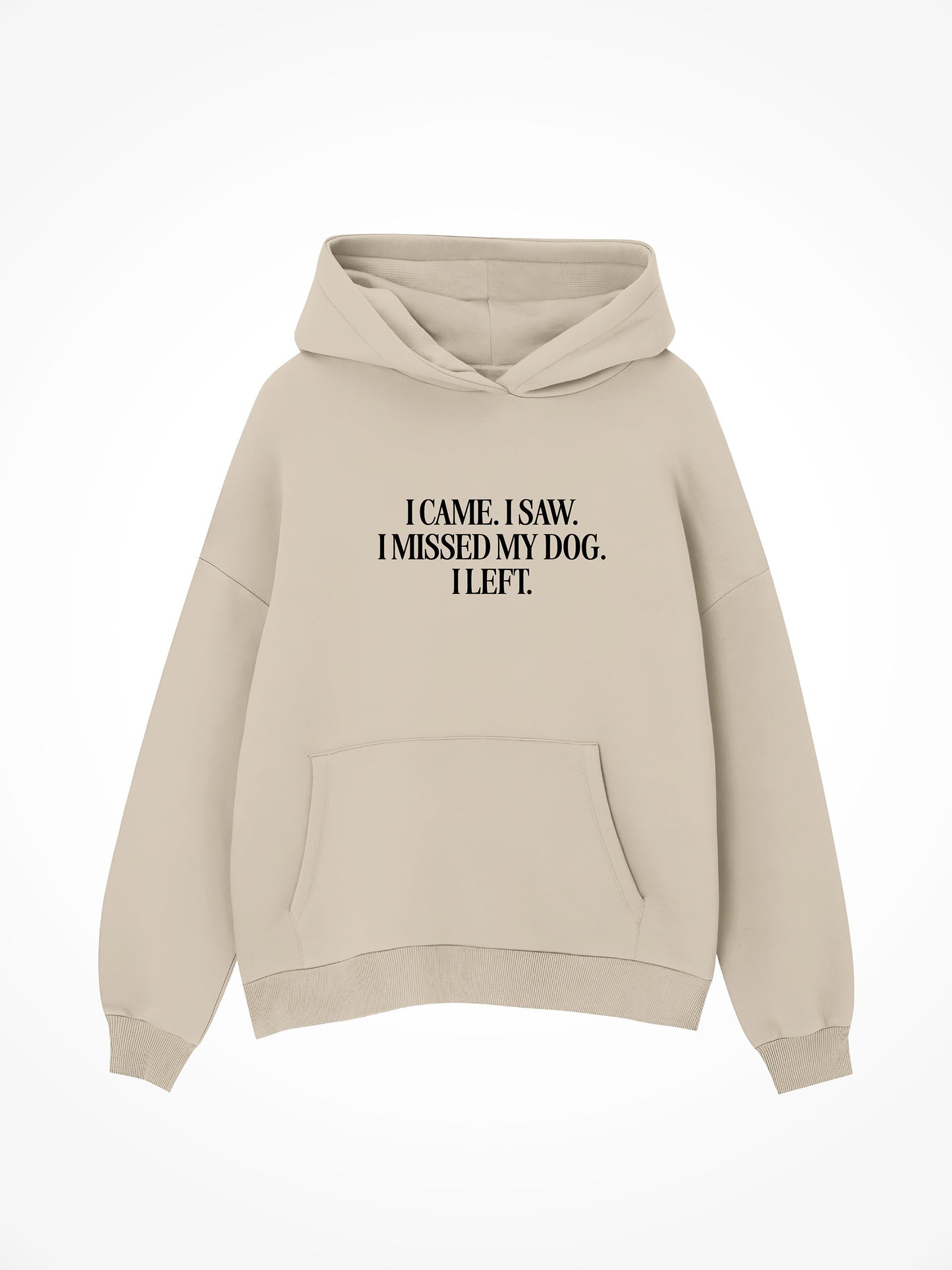 I Came I Saw I Missed My Dog - Hoodie